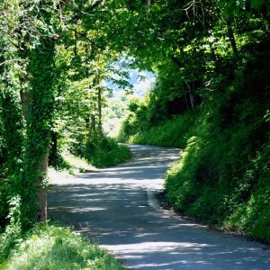 rutas10